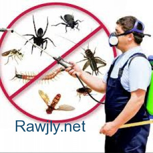 مكافحة العث في مزارع أشجار الفاكهة وحقول الخضروات 