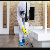 شركة مكافحه حشرات بدبي 0524201166
