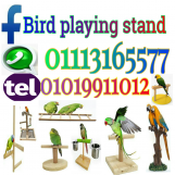 parrot stand tree wood استاند ببغاوات و طيور زينة