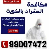 مكافحة حشرات الكويت 99007472