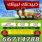 قصاب الكويت 66714788