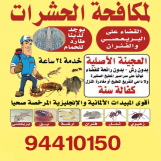 مكافحة حشرات وقوارض كفالة سنه