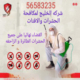الكويت الاحمدي مبارك الكبير 