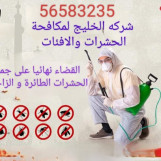 مكافحة الحشرات بالكويت 