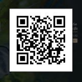 *عرض عقد سنتين*  *إندونيسيا     11000درهم*  *فلبينية       15000درهم*  *بنجلاديش    7000درهم*  *اثوبيا         7000درهم*  *شامل الضرائب والتوصيل*  *تواصل واتساب* *971565923102+*  https://685ffcda665b8.site123.me/