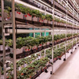 الهيدروبونيك والزراعة العمودية للمستثمرين