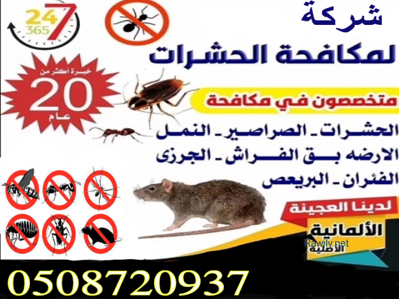 شركة مكافحة حشرات 
