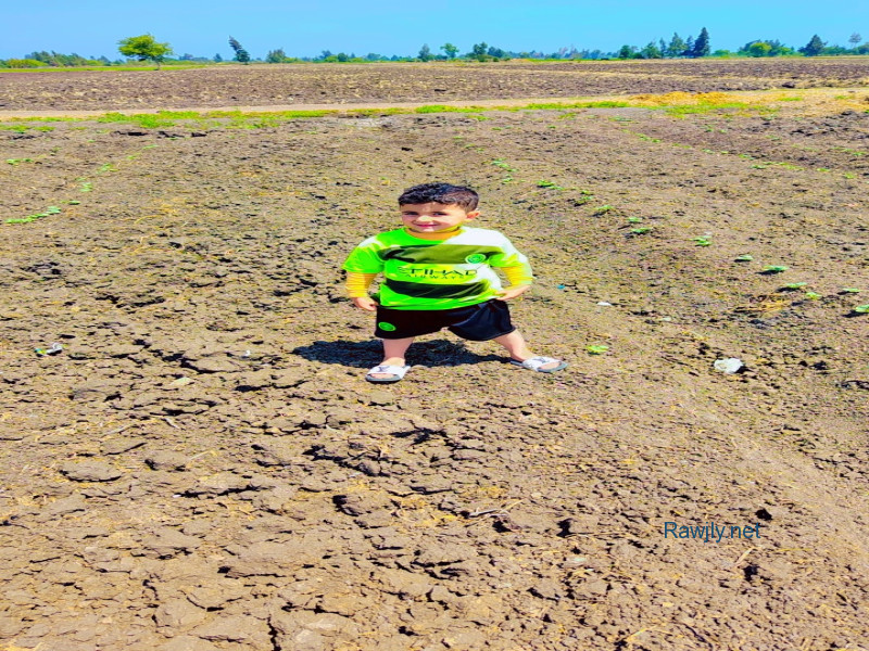 اصباغ وديكورات الفارس 