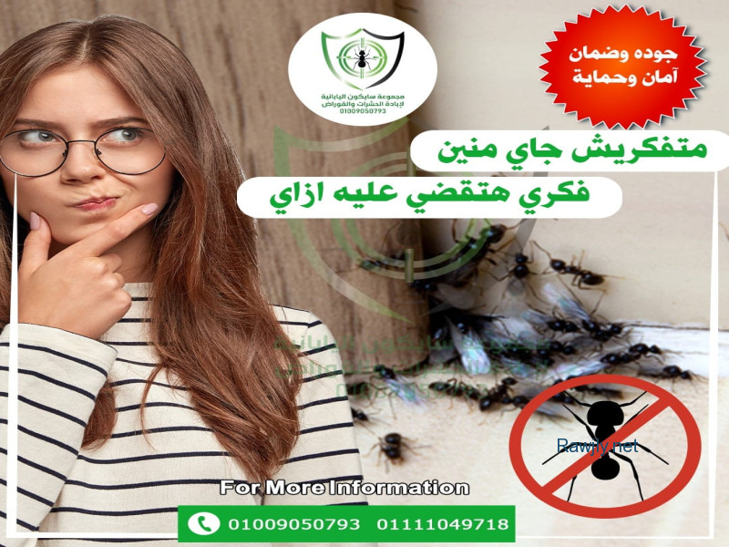 الشركه الالمانيه لأبادة الحشرات والقوارص 