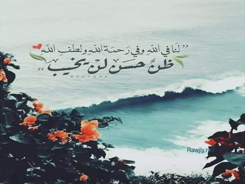 احمد بخيت