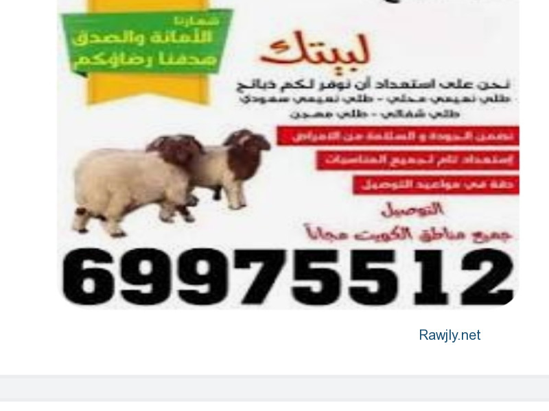 ذبايح للبيع مع قصاب