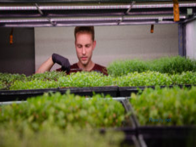 agriculturalmanager