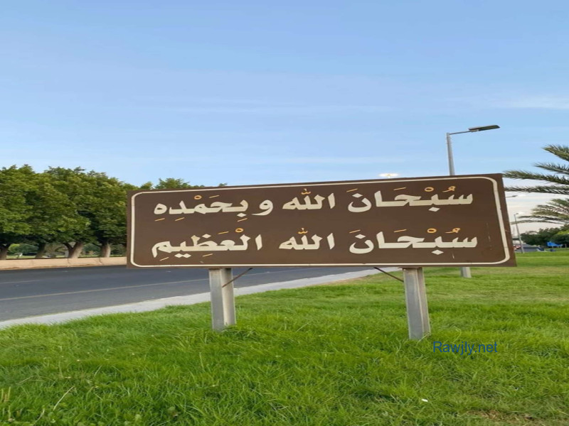 دكتور اشرف